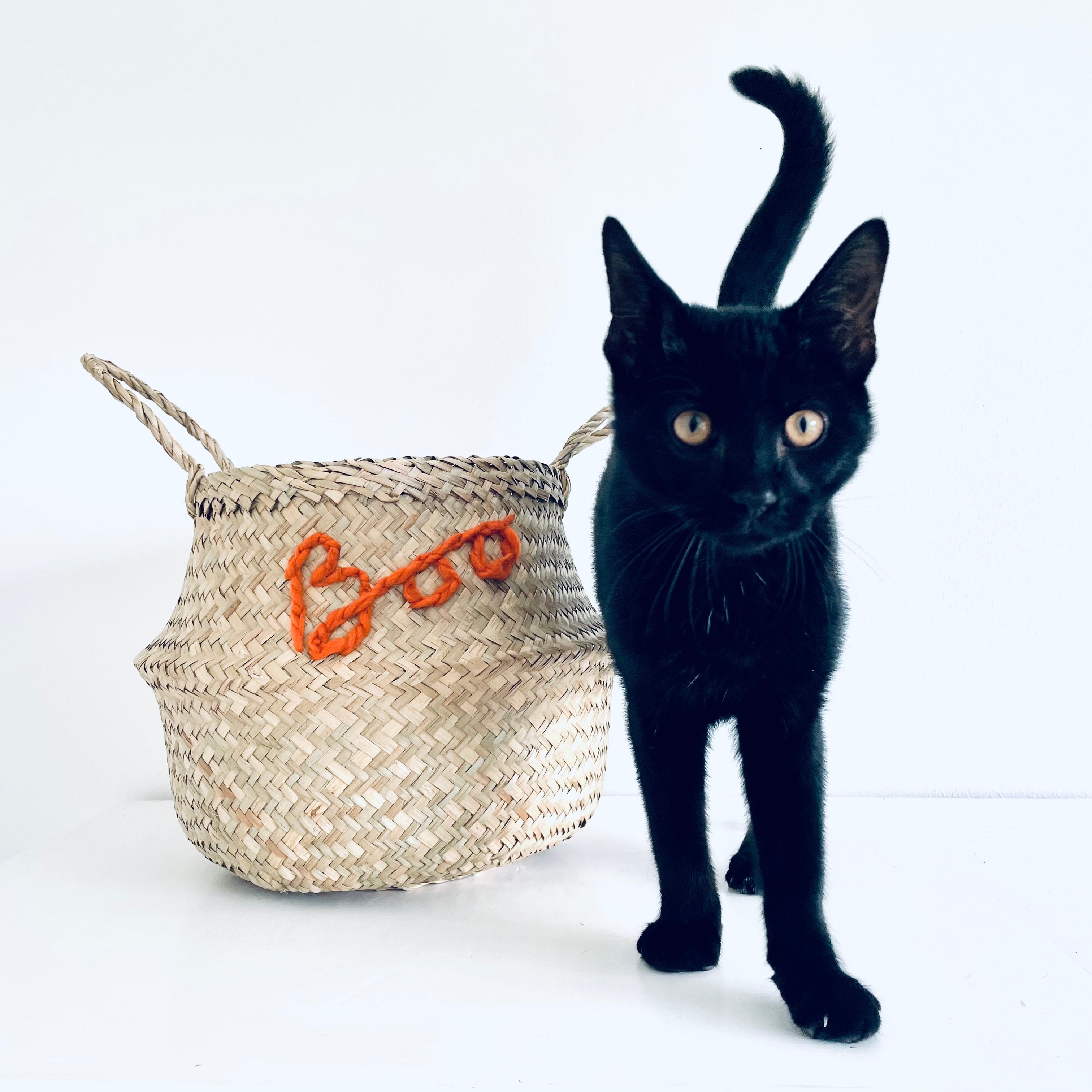 Ghost basket - Medium - Bellybambino