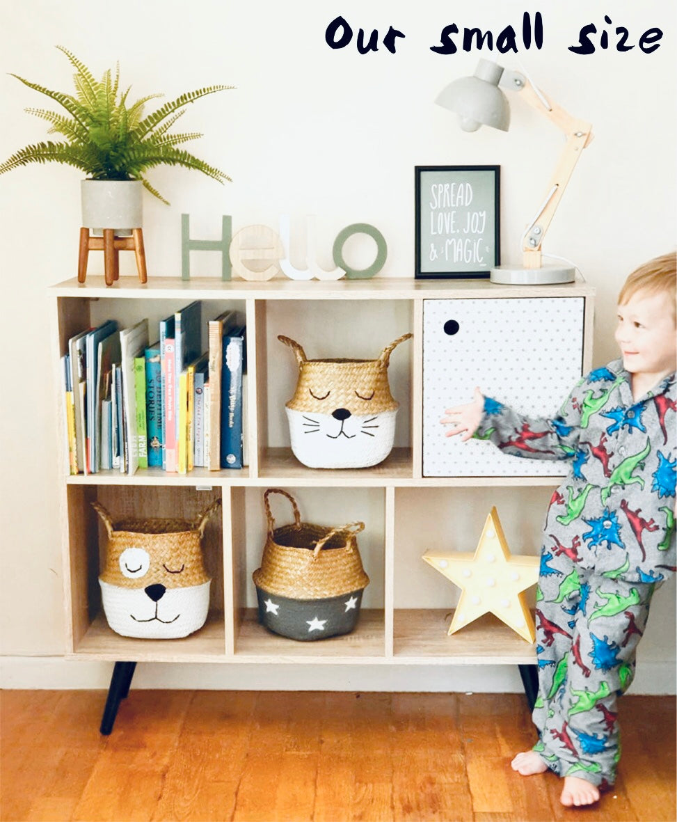 Green Dinosaur Basket - Small - Bellybambino